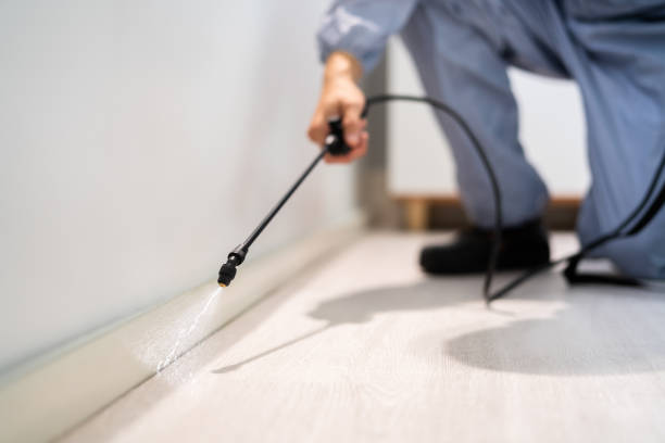 Licensed Pest Control service in Murraysville, NC - Show Me Pest Control