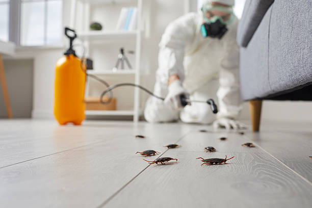Commercial Kitchen Cockroach Control in Murraysville